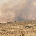 Incendio Cáceres 2016